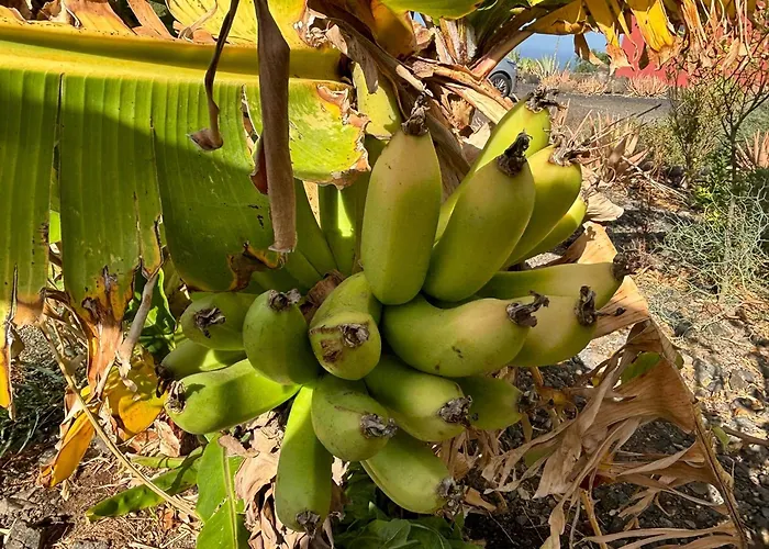 Villa Casagrande Sunset Fuerteventura