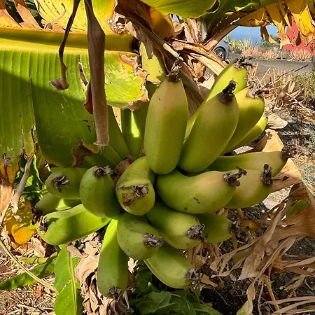 Villa Casagrande Sunset Fuerteventura